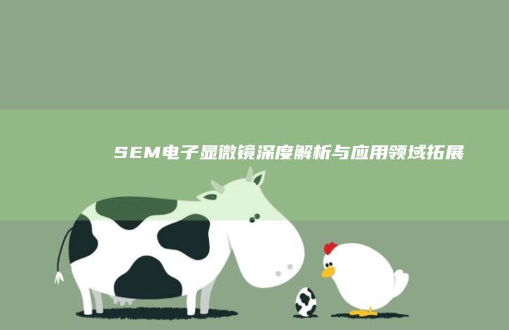 SEM电子显微镜：深度解析与应用领域拓展